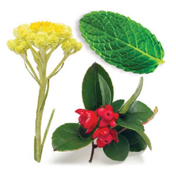 dōTERRA | Deep Blue Essential Oil 5mL - Picture 2 of 4